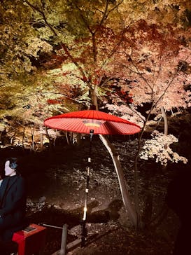 六義園に投稿された画像（2025/12/9）