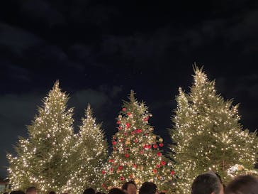 Christmas Market in 横浜赤レンガ倉庫 2025に投稿された画像（2025/12/9）