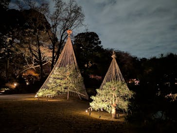 六義園に投稿された画像（2025/12/9）