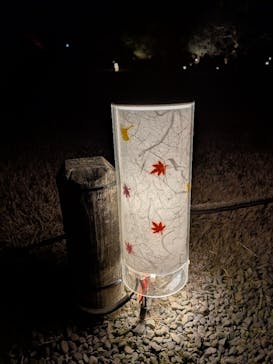 六義園に投稿された画像（2025/12/9）