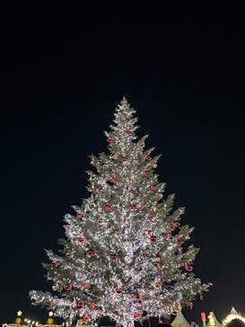 Christmas Market in 横浜赤レンガ倉庫 2025に投稿された画像（2025/12/9）