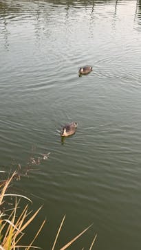 万博記念公園に投稿された画像（2025/12/9）