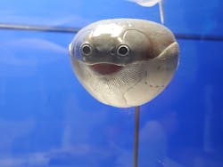 特別展「大絶滅展―生命史のビッグファイブ」に投稿された画像（2025/12/9）