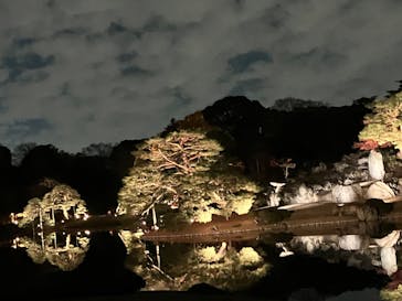 六義園に投稿された画像（2025/12/9）