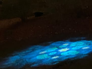 六義園に投稿された画像（2025/12/9）