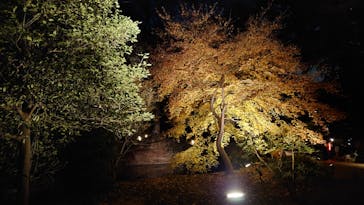 六義園に投稿された画像（2025/12/9）