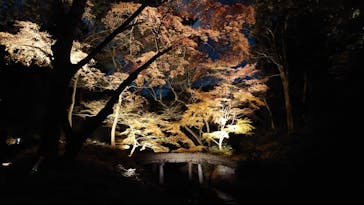 六義園に投稿された画像（2025/12/9）