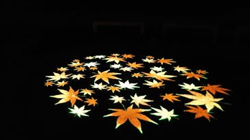 六義園に投稿された画像（2025/12/9）