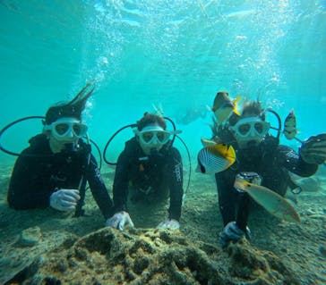 青の洞窟専門店　沖縄ダイビングショップ和に投稿された画像（2025/12/9）