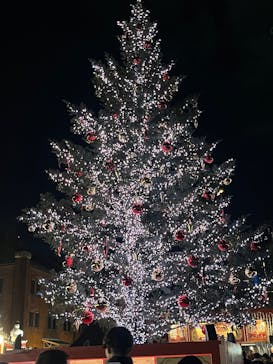 Christmas Market in 横浜赤レンガ倉庫 2025に投稿された画像（2025/12/9）
