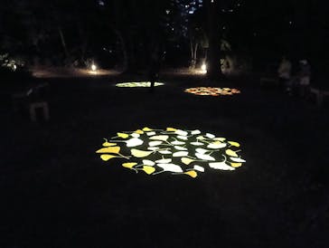 六義園に投稿された画像（2025/12/9）