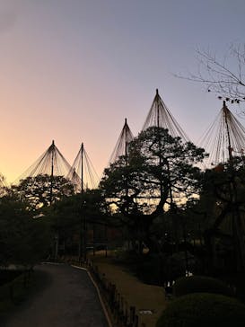 金沢市文化施設共通観覧券　（公財）金沢文化振興財団に投稿された画像（2025/12/9）