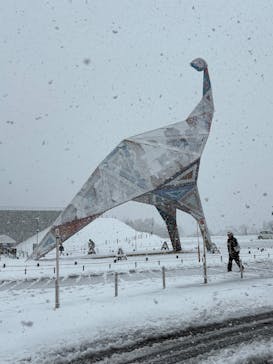 福井県立恐竜博物館に投稿された画像（2025/12/9）