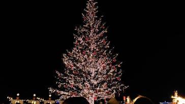 Christmas Market in 横浜赤レンガ倉庫 2025に投稿された画像（2025/12/9）