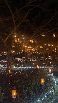 さがみ湖MORI MORIに投稿された画像（2025/12/9）