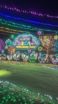 さがみ湖MORI MORIに投稿された画像（2025/12/9）