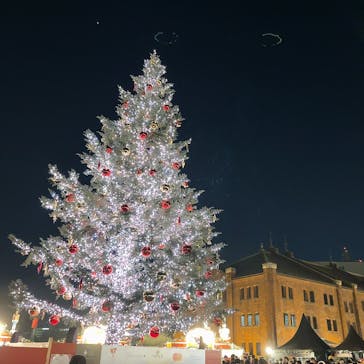 Christmas Market in 横浜赤レンガ倉庫 2025に投稿された画像（2025/12/9）