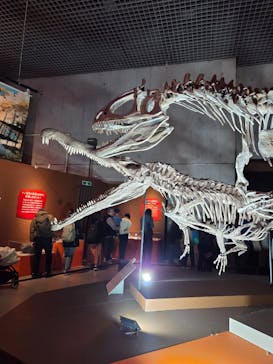 印象派オルセー展×大絶滅展に投稿された画像（2025/12/9）