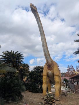 伊豆ぐらんぱる公園に投稿された画像（2025/12/10）