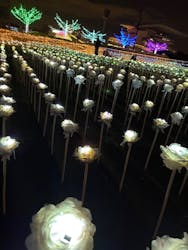 東京メガイルミに投稿された画像（2025/12/10）