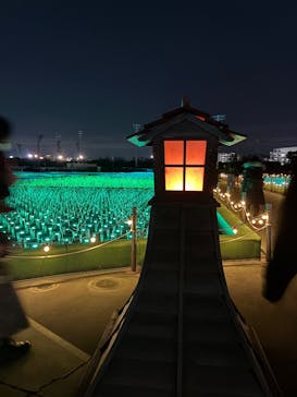 東京メガイルミに投稿された画像（2025/12/10）