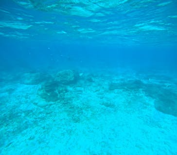 青の洞窟専門店　沖縄ダイビングショップ和に投稿された画像（2025/12/10）