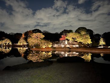 六義園に投稿された画像（2025/12/10）