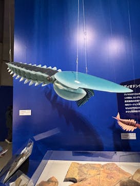 特別展「大絶滅展―生命史のビッグファイブ」に投稿された画像（2025/12/10）