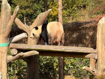 恩賜上野動物園に投稿された画像（2025/12/10）