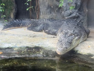 恩賜上野動物園に投稿された画像（2025/12/10）