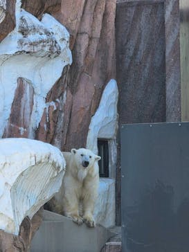 恩賜上野動物園に投稿された画像（2025/12/10）