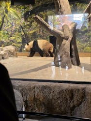 恩賜上野動物園に投稿された画像（2025/12/10）