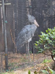 恩賜上野動物園に投稿された画像（2025/12/10）