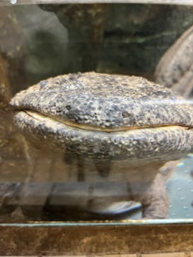 名古屋市東山動植物園に投稿された画像（2025/12/10）