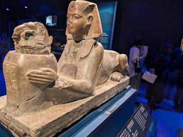 ACN ラムセス大王展 ファラオたちの黄金に投稿された画像（2025/12/10）