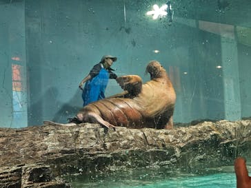 伊豆・三津シーパラダイスに投稿された画像（2025/12/10）