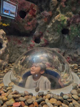 伊豆・三津シーパラダイスに投稿された画像（2025/12/10）