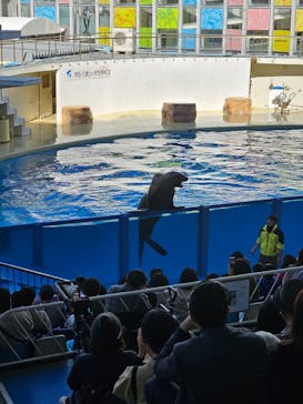 伊豆・三津シーパラダイスに投稿された画像（2025/12/10）