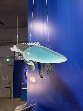 特別展「大絶滅展―生命史のビッグファイブ」に投稿された画像（2025/12/10）