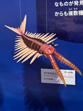 特別展「大絶滅展―生命史のビッグファイブ」に投稿された画像（2025/12/10）