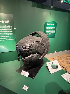 特別展「大絶滅展―生命史のビッグファイブ」に投稿された画像（2025/12/10）