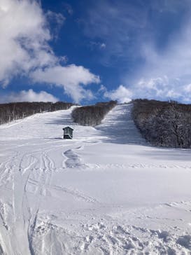 秋田八幡平スキー場に投稿された画像（2025/12/10）