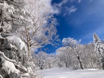 秋田八幡平スキー場に投稿された画像（2025/12/10）