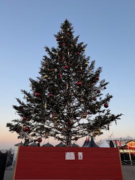 Christmas Market in 横浜赤レンガ倉庫 2025に投稿された画像（2025/12/10）