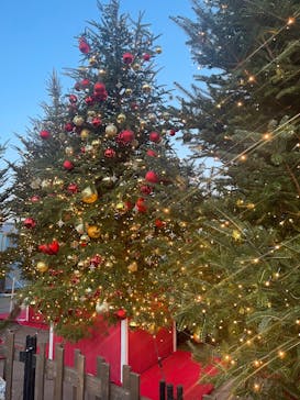 Christmas Market in 横浜赤レンガ倉庫 2025に投稿された画像（2025/12/10）