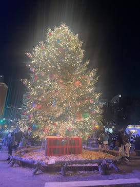 Christmas Market in 横浜赤レンガ倉庫 2025に投稿された画像（2025/12/10）