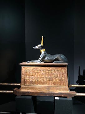 MYSTERY OF TUTANKHAMEN 体感型古代エジプト展に投稿された画像（2025/12/10）