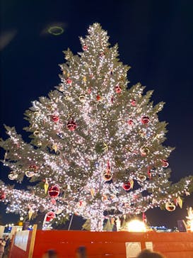 Christmas Market in 横浜赤レンガ倉庫 2025に投稿された画像（2025/12/10）