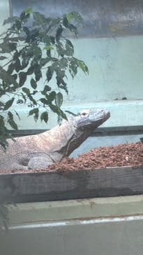 名古屋市東山動植物園に投稿された画像（2025/12/10）