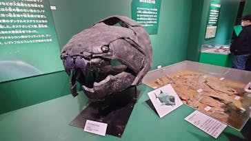 特別展「大絶滅展―生命史のビッグファイブ」に投稿された画像（2025/12/10）